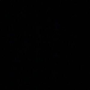 Meet your Posher, Zack